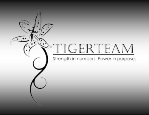 TigerTeam Gradient TigerTeam Gradient